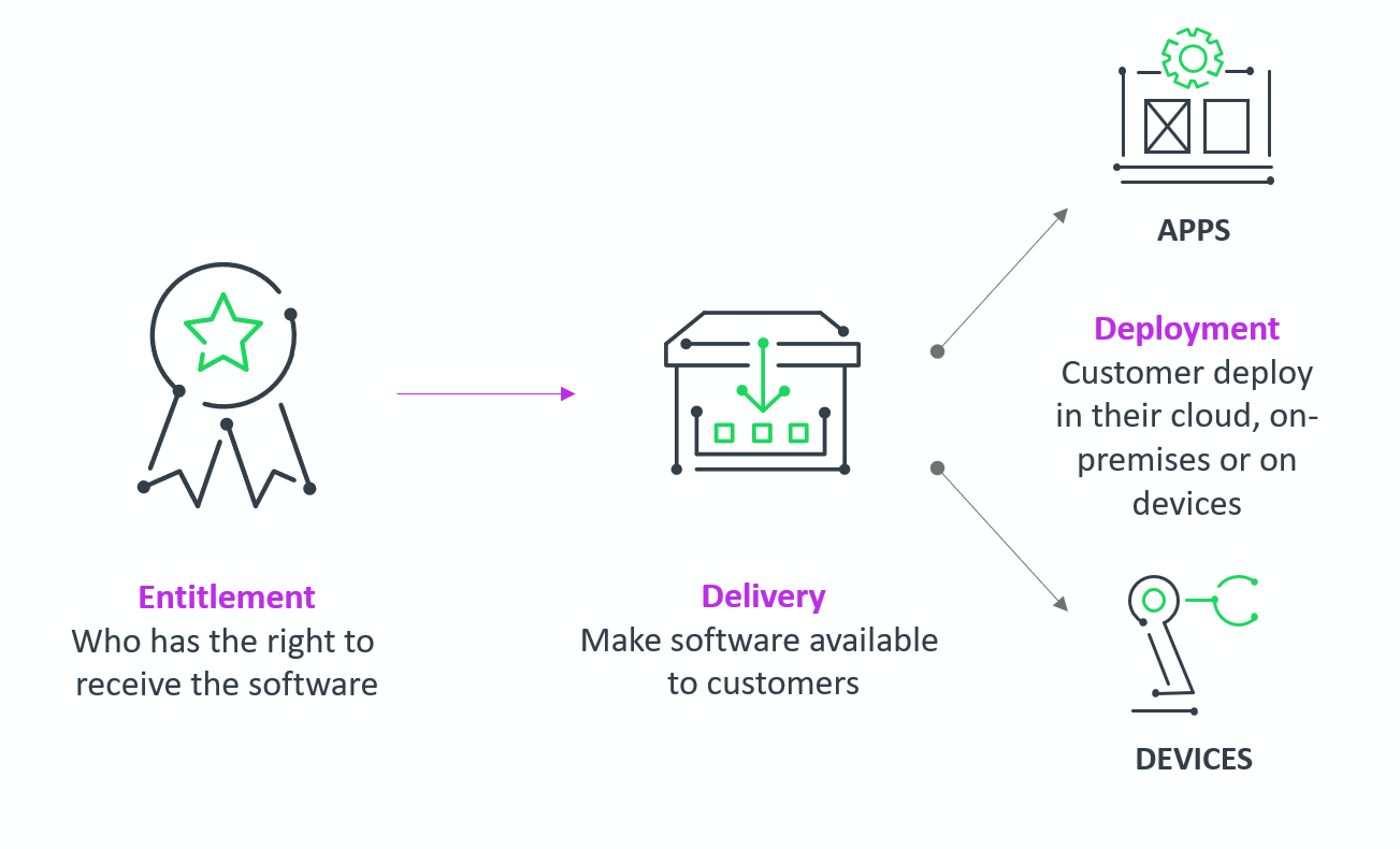 Software Delivery and Updates