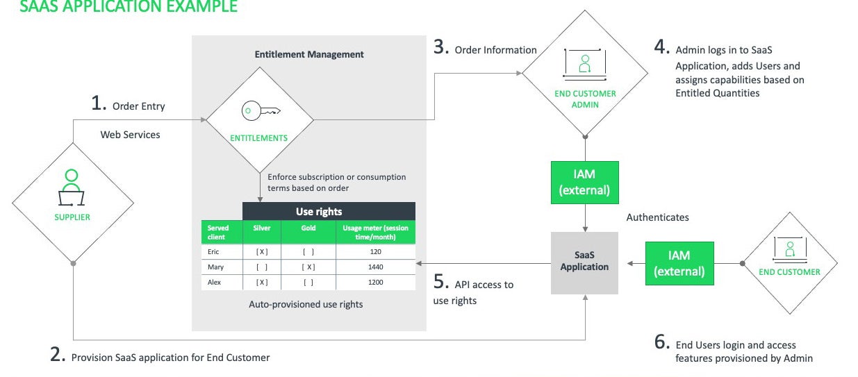 SAAS LICENSING EXAMPLE